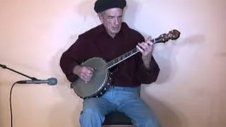 "The Swallow" nylon string tenor banjo