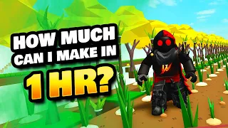 How Much I Can Make in 1 Hour on My Island in Roblox Islands