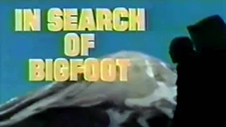 In Search of Bigfoot (1976)