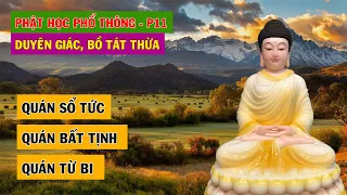 Quán SỔ TỨC – Quán BẤT TỊNH – Quán TỪ BI | Phật Học Phổ Thông – Phần 11