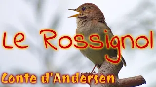 Livre audio : Le Rossignol, conte d'Andersen