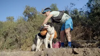 In Chile, a lawyer and his dog 'plog' to raise recycling awareness | AFP