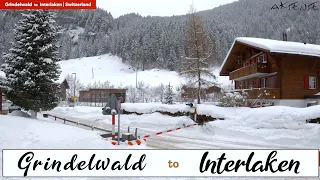 Switzerland Grindelwald to Interlaken - Train Journey | 4K 60fps Video