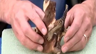 How-It-s-Made---ARTIFICIAL-BONSAI.mp4