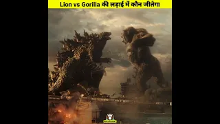 Lion vs Gorilla की लड़ाई में कौन जीतेगा by SuryaKant #godzilla #godzillavskong #animals