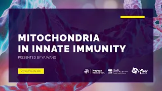 Mitochondria in Inate Immunity