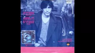 Jackson Browne - Voice Of America (B-Side)