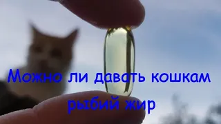 Можно ли давать кошкам рыбий жир Can cats eat fish oil?