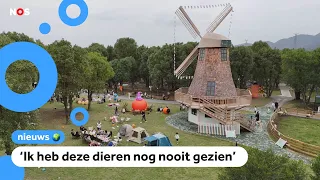 Dit pretpark in China gaat over Nederland: 'Er lopen koeien en paarden'