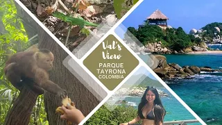 Is Parque Tayrona, Colombia worth visiting in 2024? TIPS for Monkeys, Beach, and Jungle!