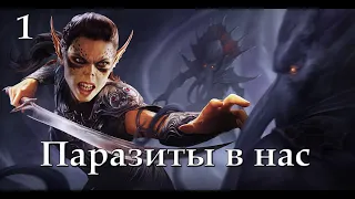 Baldur's Gate 3. Прохождение. Ранний доступ