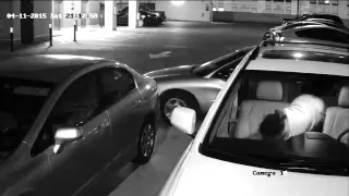 Surveillance Video: Stolen Cello