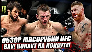 Обзор Адской Рубки UFC! Пол Фелдер vs Дэн Хукер. Зубайра Тухугов вырубает! Магомед Мустафаев.