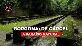 Gorgona la isla que pasó de prisión de máxima seguridad a paraíso natural | El Espectador