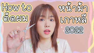 How to ตัดผม "หน้าม้าเกาหลี" ซีทรูด้วยตัวเอง ทำตามได้ง่ายๆ เทคนิคเพียบ! | Noonninn