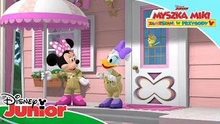 Mały, słodki domek 🏠⛱  | Myszka Miki: Zamieszani w przygody | Disney Junior Polska