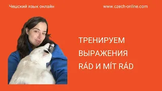 Тренируем формы rád/mít rád (мне нравится) по-чешски.