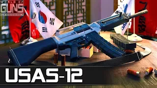 Daewoo USAS-12 (full disassembly and operation)