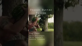 Peanut Butter Falcon (2019)