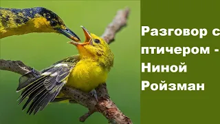 Разговор с птичером - Ниной Ройзман