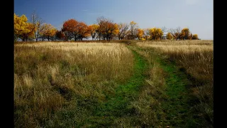 Сядь в любой поезд. Любовь и песни