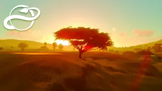 #2 テント型の宿泊施設をつくろう【Planet Zoo・建築実況】