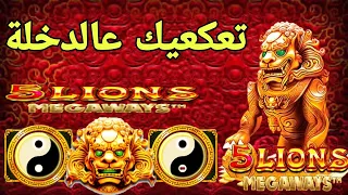 5 LIONS MEGAWAYS BIG WIN ×421😱🤑 تعكعيك يبدا عالدخلة