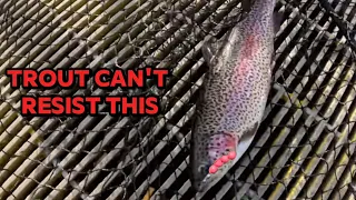 TROUT FISHING Quick tip