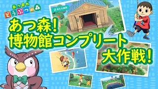 超難関！　博物館への寄贈品をコンプリートせよ！　【あつまれどうぶつの森】　【ポケモン剣盾】