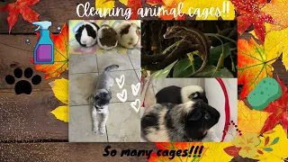 Cleaning all my animal's cages!!! 🧼🧼🐹