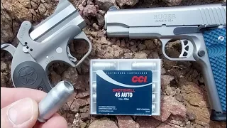 CCI .45 AUTO SNAKE SHOT - Does It Really Work on Snakes? Does It Cycle a 1911 Pistol? Bond Derringer