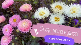 Огляд квітів у вересні🌺