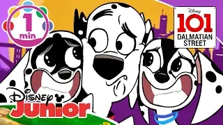 101 Dalmatian Street | 'Dog's Life' Song With Lyrics 🎶 | Disney Kids