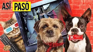 PERRO SE V3NG4 DE SU DUEÑO | HIJOS DE P3RR4 🐶 | RESUMEN EN 15 MINUTOS