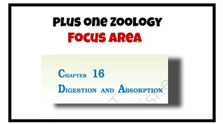 Plus one Zoology Focus area class Chapter 5 Digestion and absorption