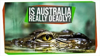 Is Australia Trying to Kill You?