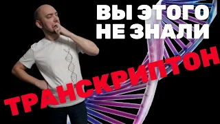 Что такое транскриптон и какова его структура? Душкин объяснит