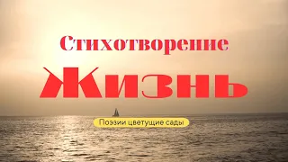 Стихотворение "Жизнь"