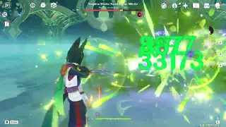 Tighnari Raiden kill 1 phase