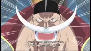 Whitebeard starts to charge