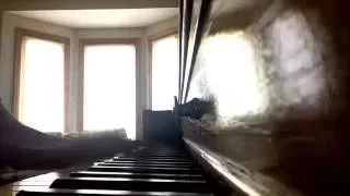 Skillet - Don't Wake Me - Piano Cover