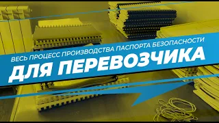 🔥 Весь процесс производства паспорта безопасности транспортного средства для перевозчика