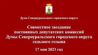 Совместное заседание постоянных депутатских комиссий Думы 17 мая 2023 года