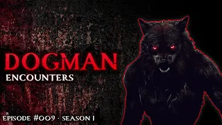 19 DOGMAN ENCOUNTER STORIES - SCARY STORIES 2021