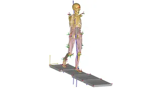 [Webcast] Musculoskeletal modeling for the evolutionary biologist: A primer