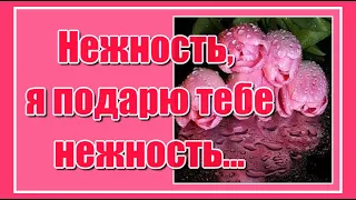 Нежность, я подарю тебе нежность... Любимые! С Международным женским днём 8 Марта! Будьте счастливы!