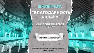 “Благодарность Аллаhу”