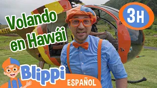 Blippi explora Hawái desde las alturas🌴🚁| Blippi Español | Videos educativos para niños