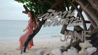 นิทานพันดาว Ost.นิทานพันดาว 1000stars - กัน นภัทร [cover] Jane Nirinya