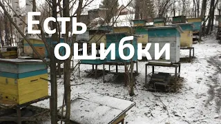 Некоторые ошибки пчеловода весной